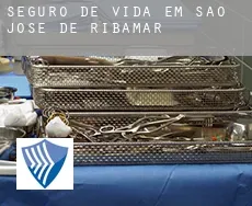 Seguro de vida em  São José de Ribamar