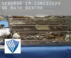 Seguros em  Conceição do Mato Dentro
