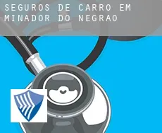 Seguros de carro em  Minador do Negrão